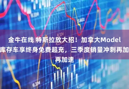 金牛在线 特斯拉放大招！加拿大Model 3库存车享终身免费超充，三季度销量冲刺再加速