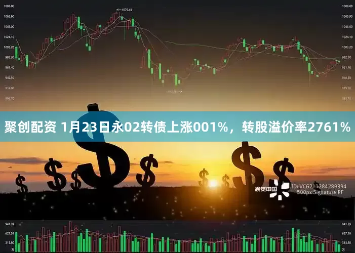 聚创配资 1月23日永02转债上涨001%，转股溢价率2761%